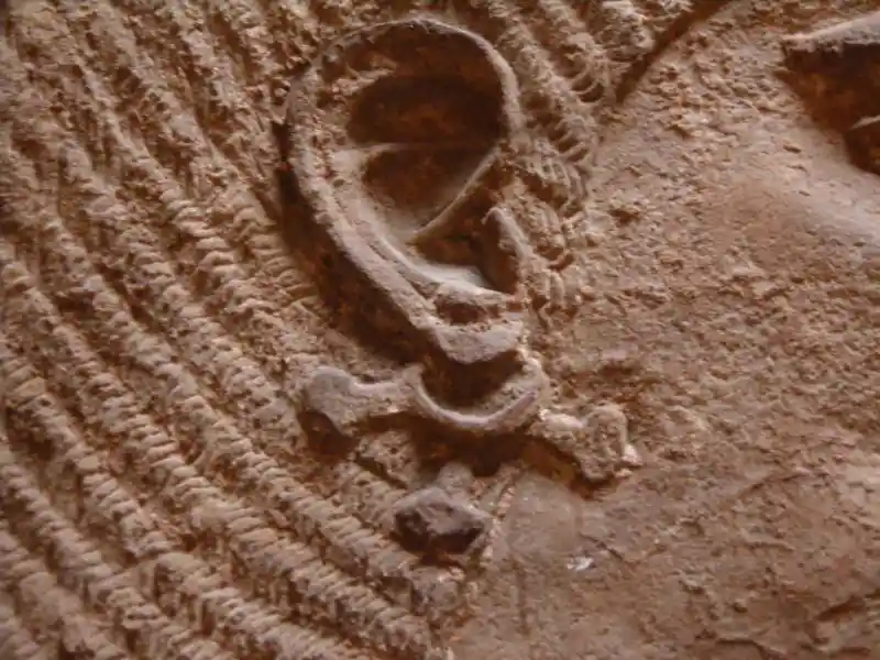 Cross earrings of the arms-bearer of Tiglath-pileser III